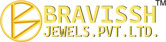 Bravissh's Header Logo