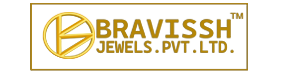Bravissh's Header Logo